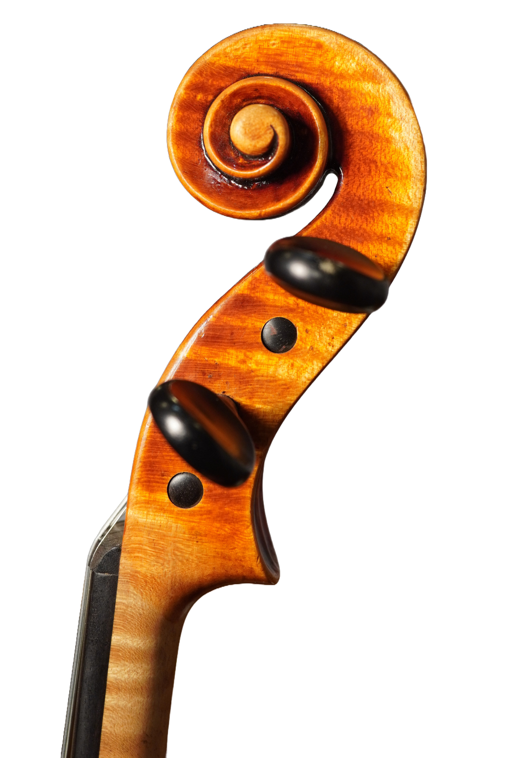 Ernst Heinrich Roth 1922 — Robert Cauer Violins